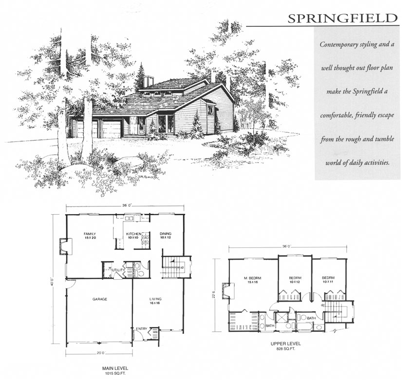 Springfield Design